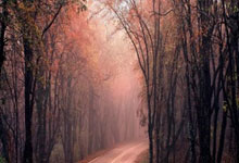 问鼎app官网：三大杯悲喜夜：巴萨5-4马竞，决战皇马；国米1-1米兰 斯图加特3-1.