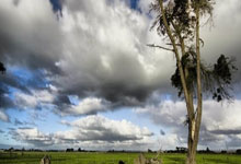 问鼎app官网：亚冬会丨冰壶混双中国队摘铜 收获中国体育代表团首枚奖牌2025-02-08.