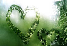 问鼎app官网：竞者 ｜ 女子网坛黑马新星 连克三位大满贯冠军 纳达尔亲自送祝贺.